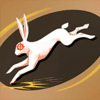 Kinetic Dash